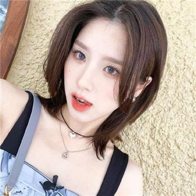 与鲨同泳封面